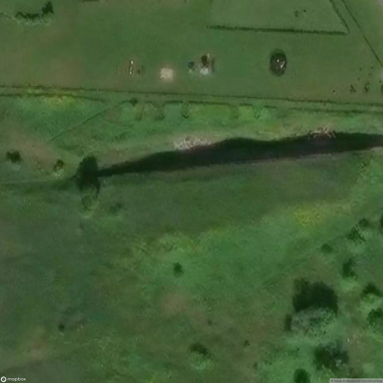 Douane