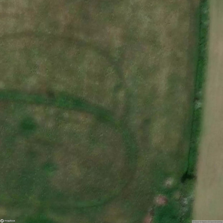 Yoda S Folly [GBR] #10482