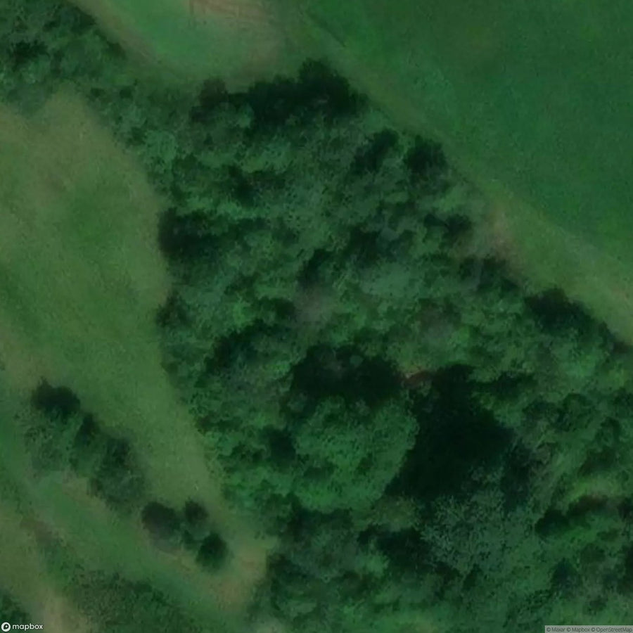 Yatton Keynell Quarry [GBR] #06697