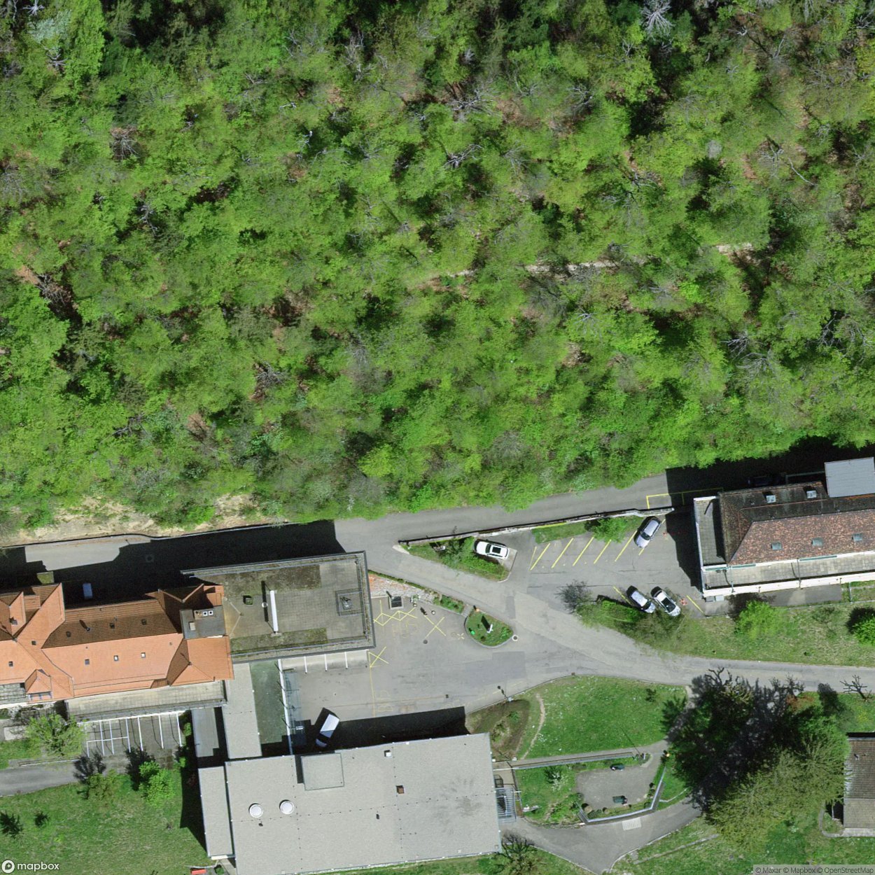 Allerheiligenberg Altitude Clinic [CHE]