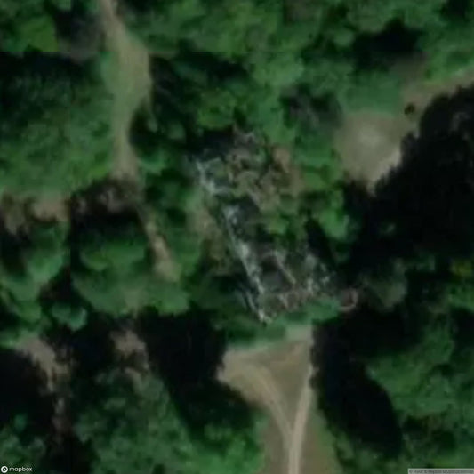 Castle in the Forest [BEL]