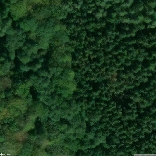 House of the Campsite Guard [DEU]