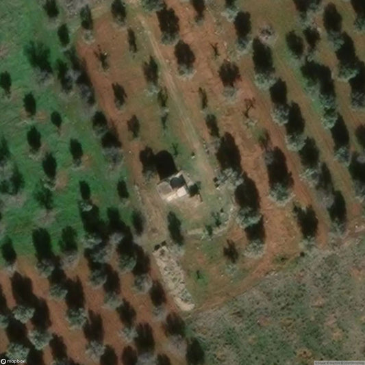 Crypt of the Madonna of the Grottella [ITA]