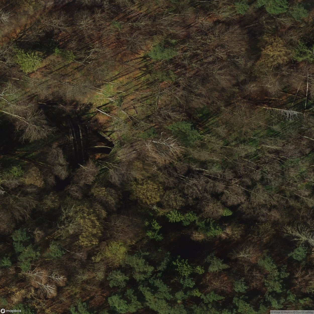 Rail Infrastructure Pre-War Railway Culvert [POL] #29782