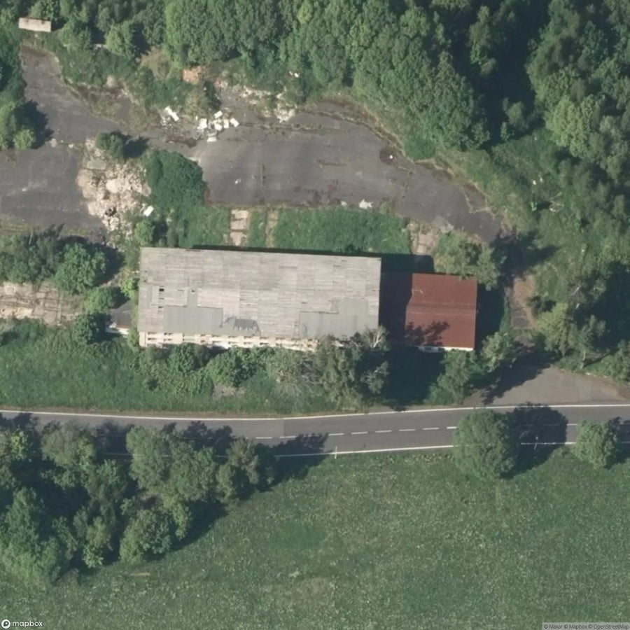 Moldovan Dumb [DEU] #2713