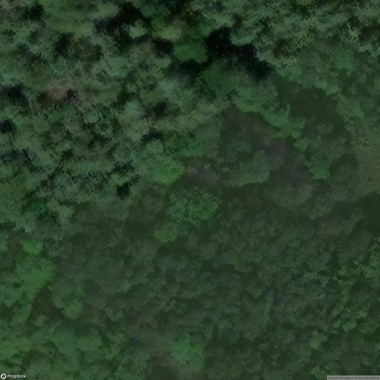 House in the woods [POL]