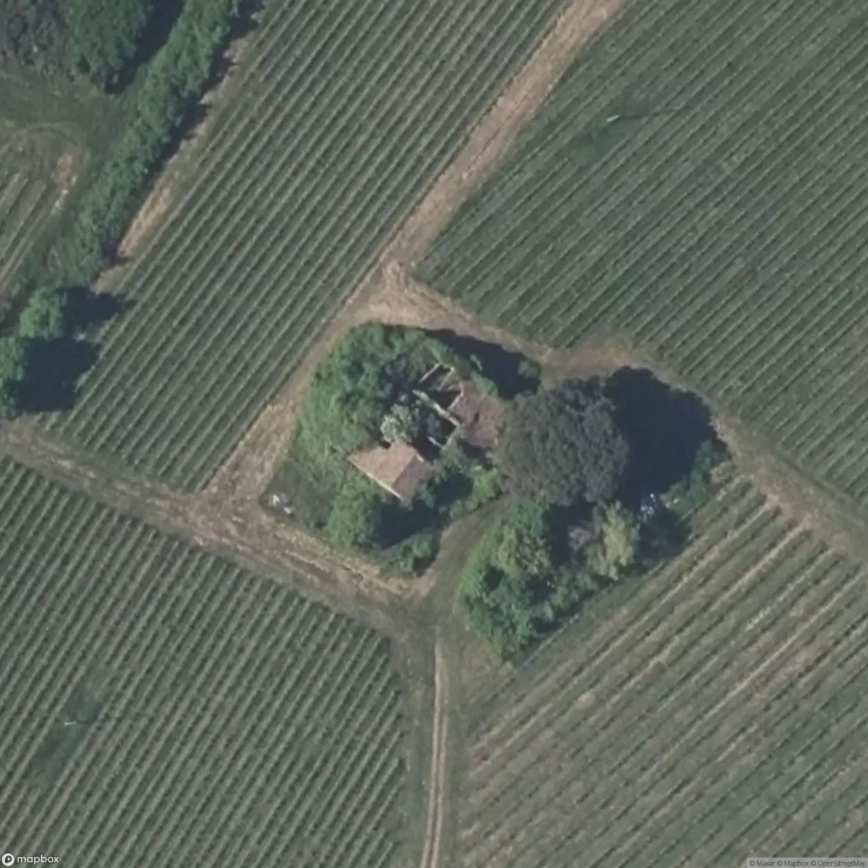 House Vegetation [FRA] #19659