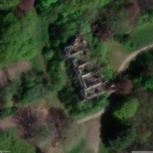 Castle in the Forest [BEL]