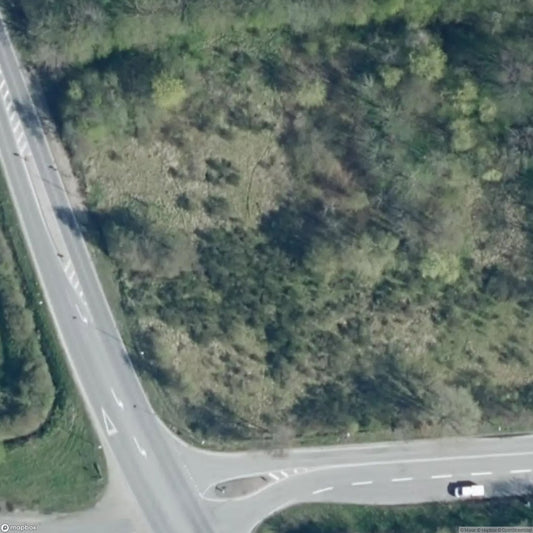 Homestead / Guesthouse [DNK]