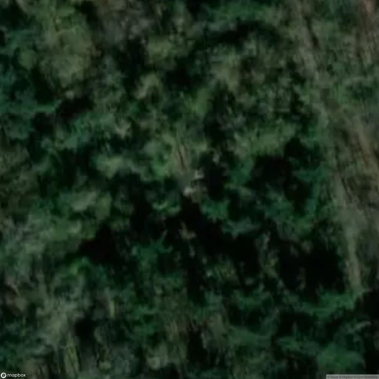 The Cursed Forest / Haunted Forest [BEL]