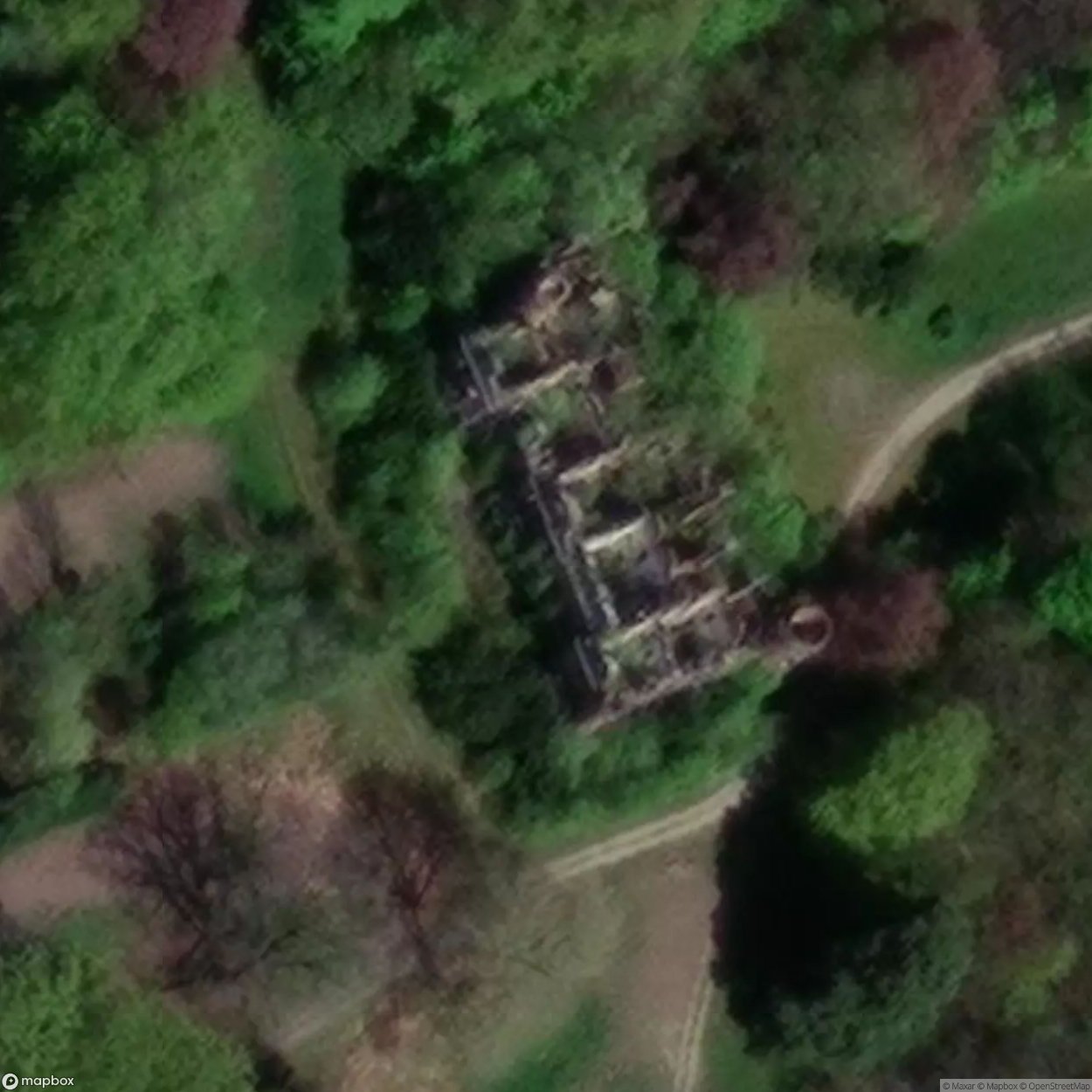 Castle In The Forest [BEL] #10593