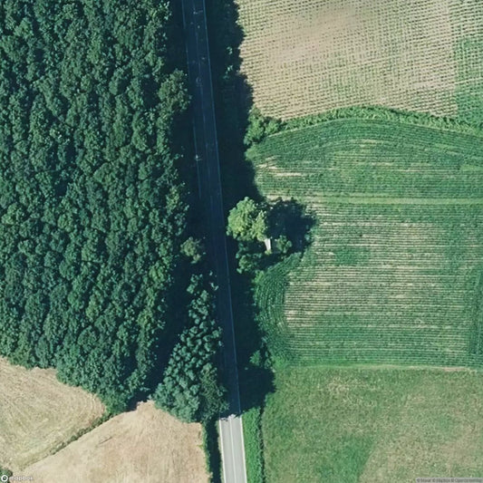 The Little One [ESP]