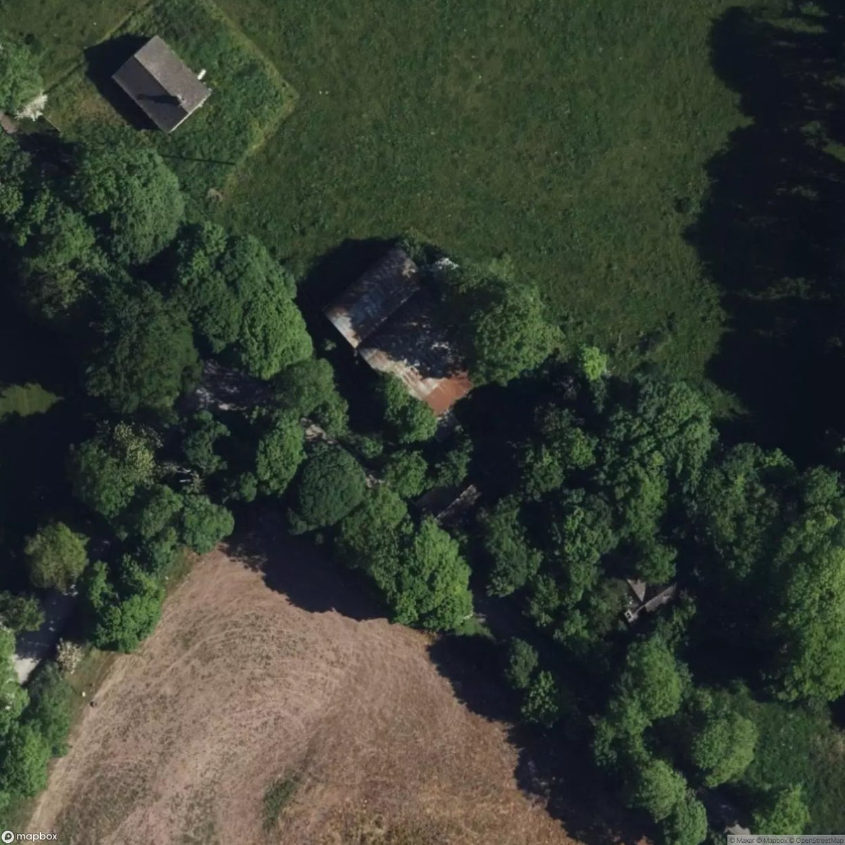 House Slanesh [IRL] #33179