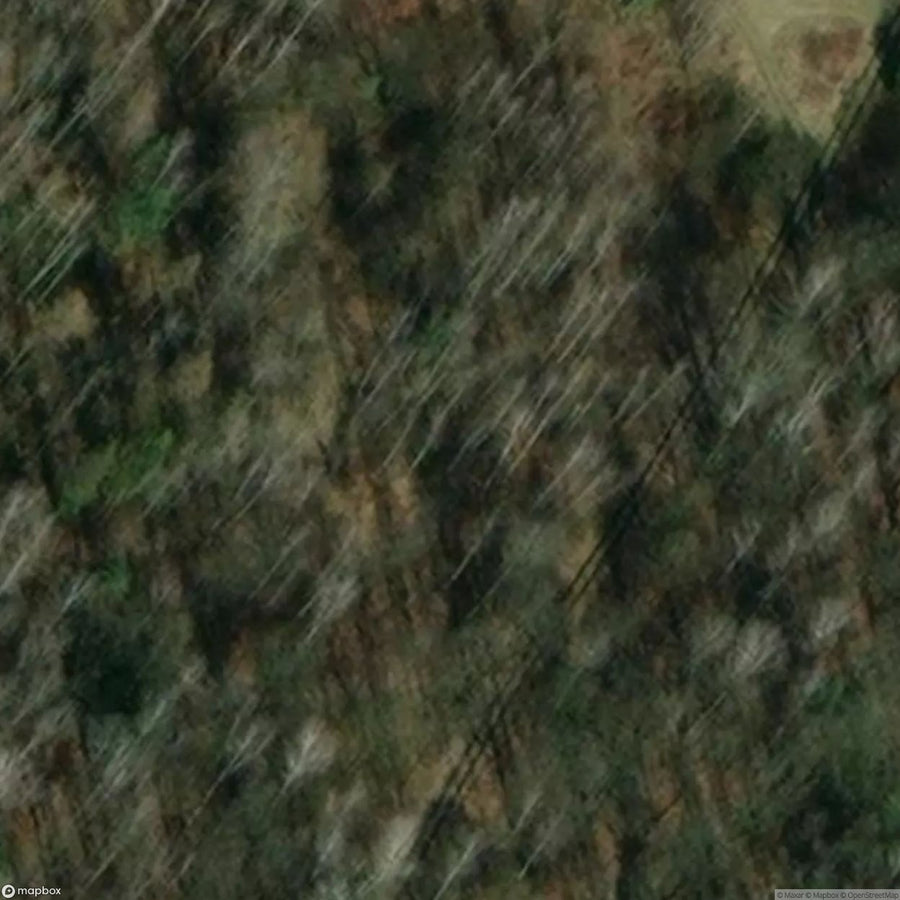Abandoned Coastal Artillery Battery Bateria Zavangli [POL] #32180