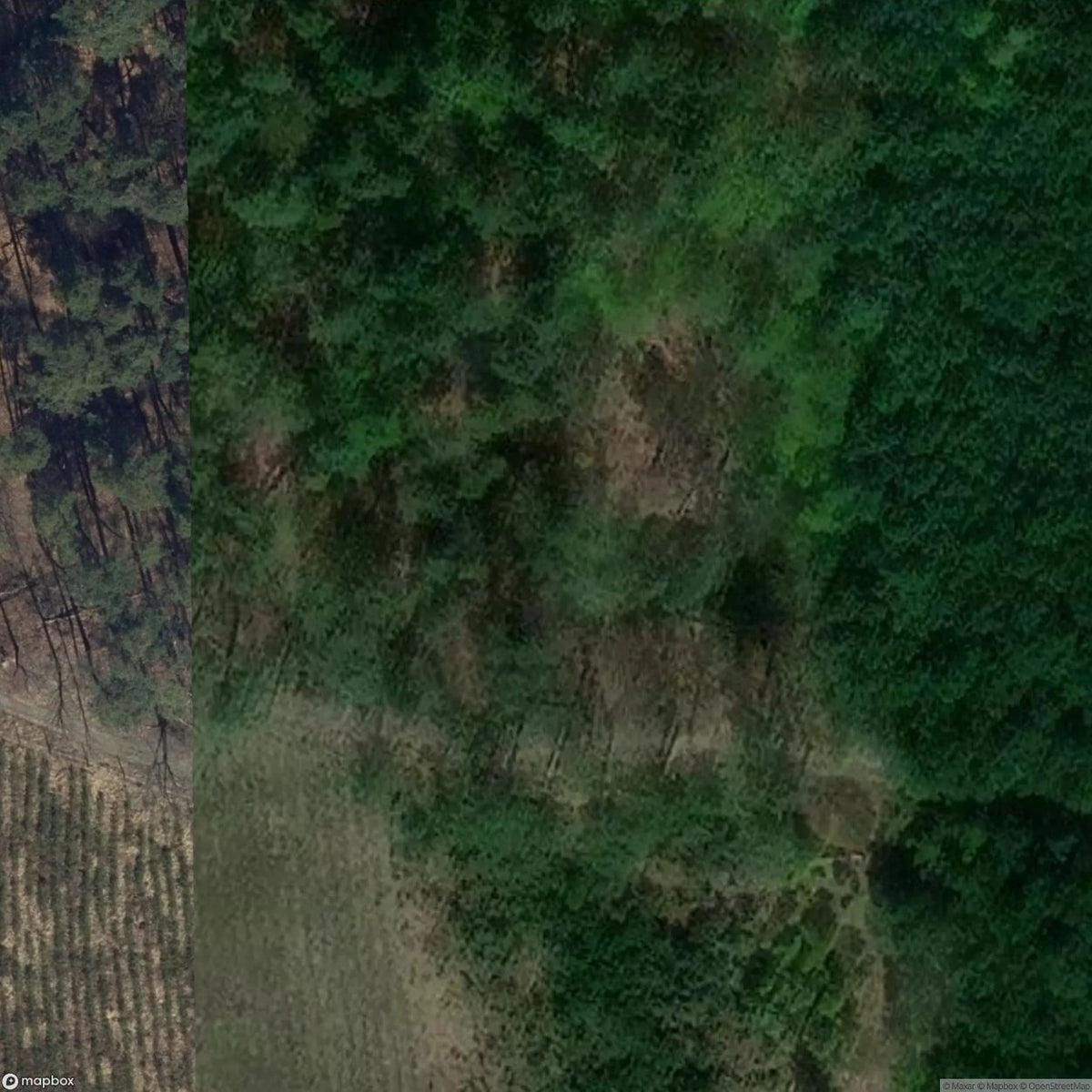 Historic Cemetery Niezdrowice [POL] #1996