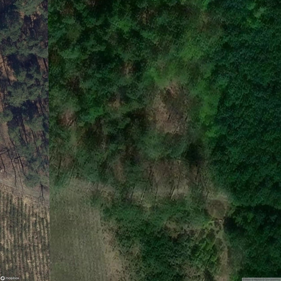 Historic Cemetery Niezdrowice [POL] #1996