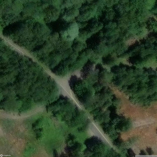 Coal High Bunker [DEU]