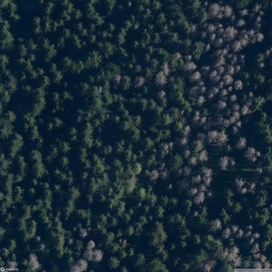 Site Shepherd S Huts In The Jaworzynka Valley [POL] #33482