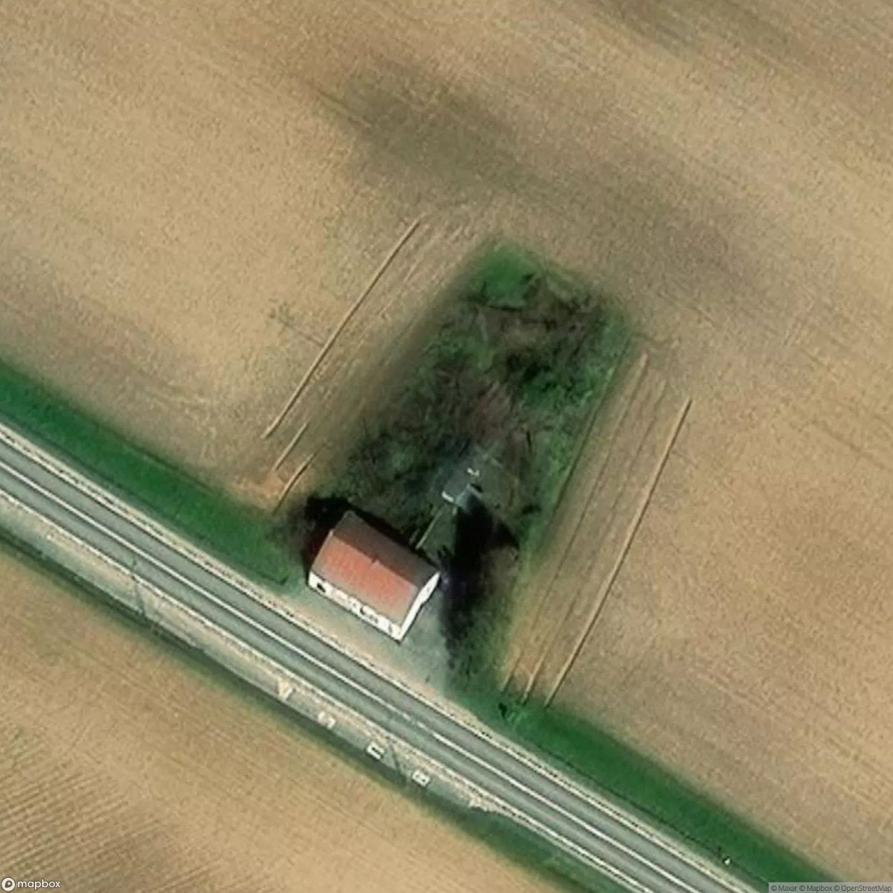 Birds’ Song Restaurant [BEL]