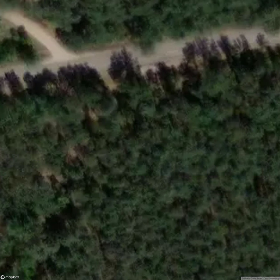 Historic Cemetery Former Jewish Cemetery Jadowie [POL] #2033