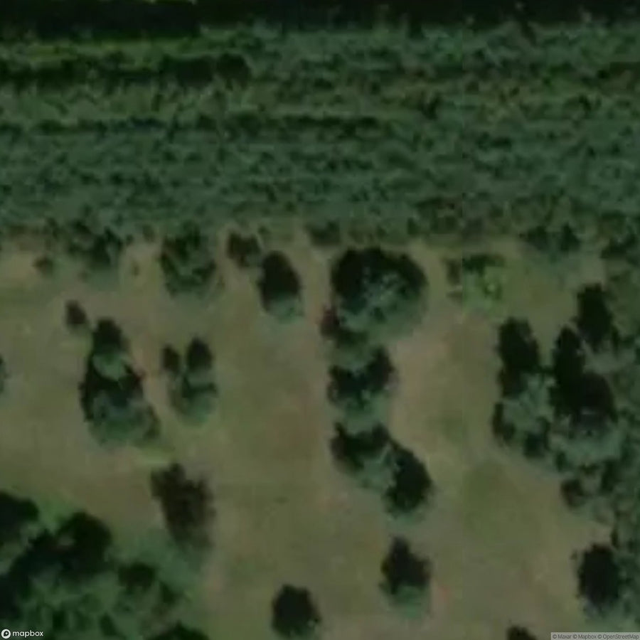 Historic Cemetery Sidra [POL] #35810