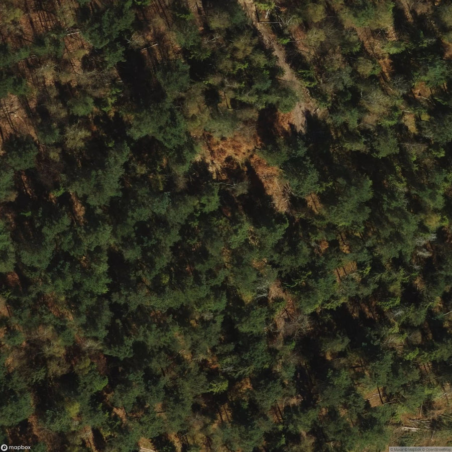 Historic Cemetery Wejherowo [POL] #1994