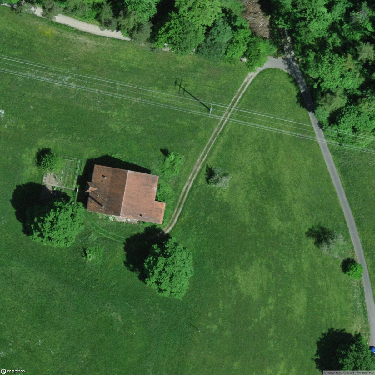 Cat Villa Elgg Zh [CHE] #33373
