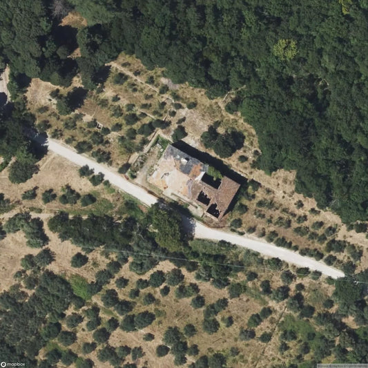 Birdcage of Pappagallo [ITA]