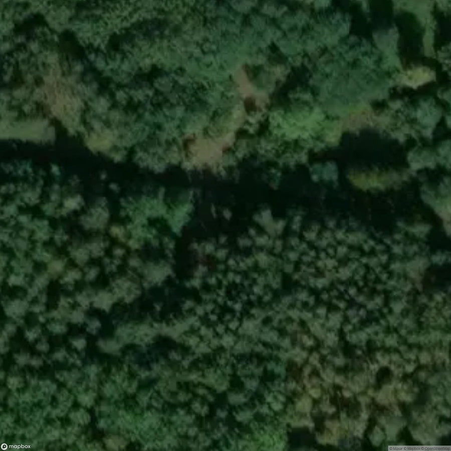 Site Abandoned Village Kampinos National Park [POL] #33428