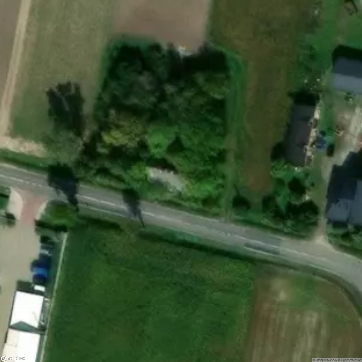 Site Bikupice [POL] #33062