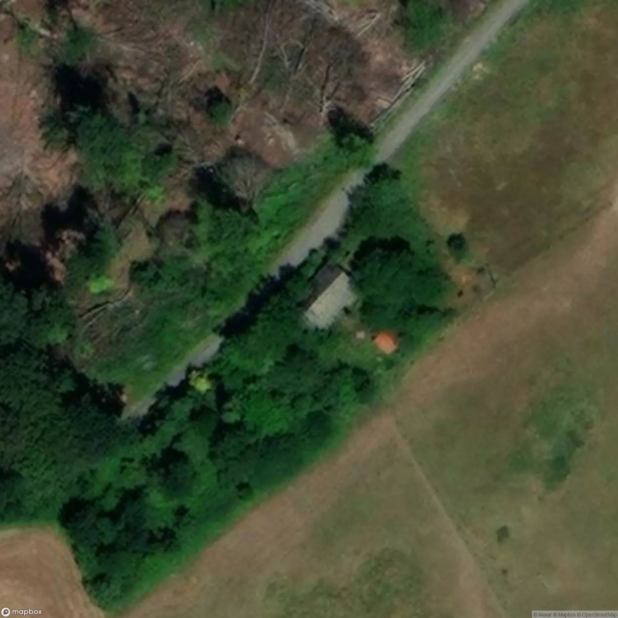 Bois de Martimont 18 [BEL]