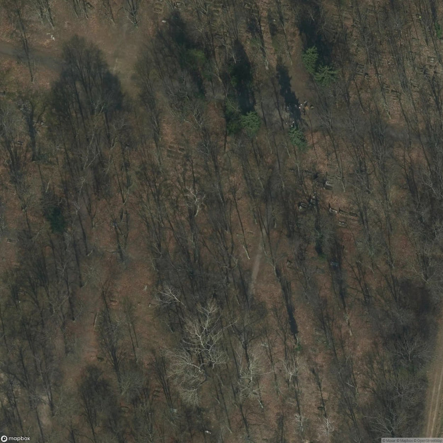Historic Cemetery Abandoned Cemetery Lonely [POL] #2035