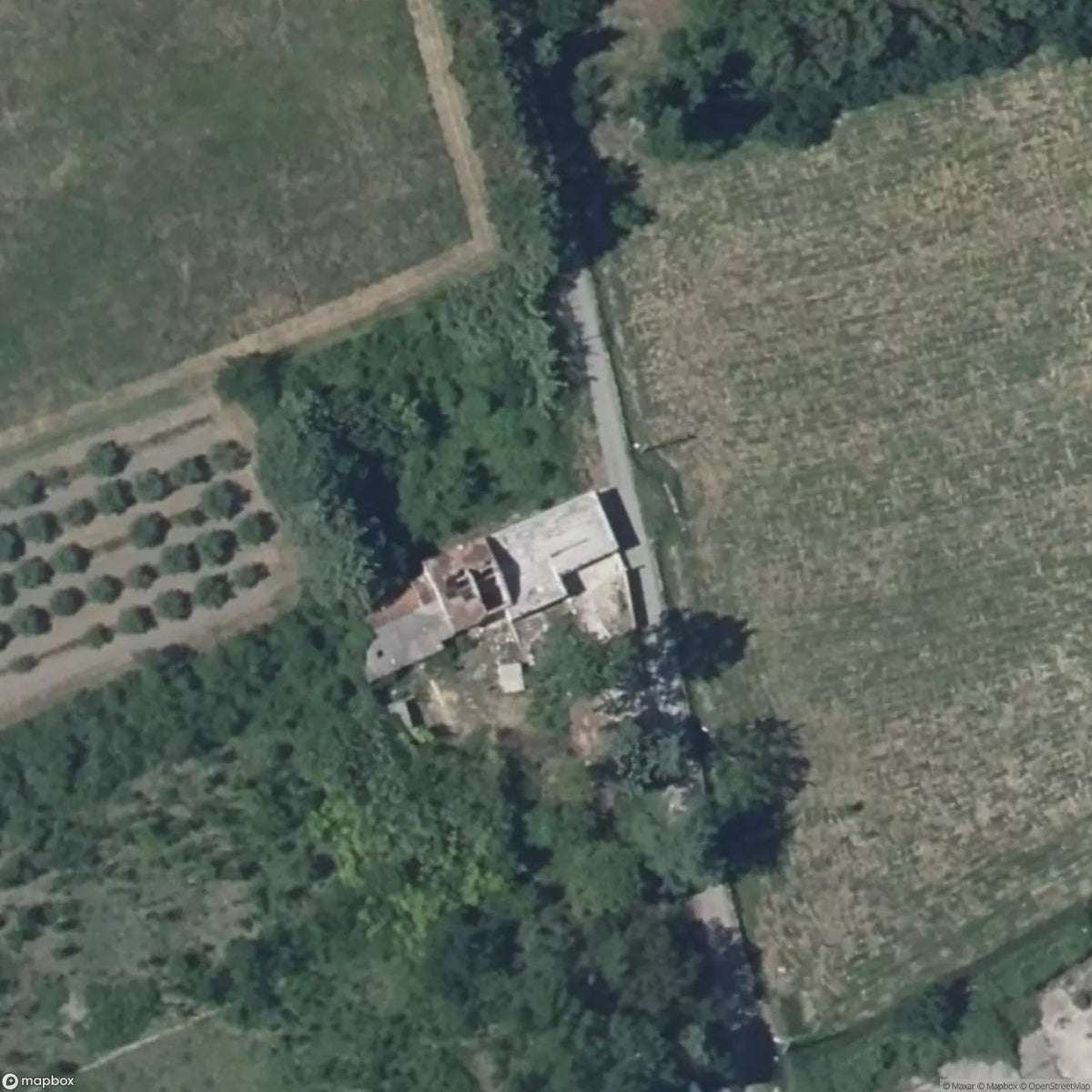 The Mushroom House [FRA] #33609
