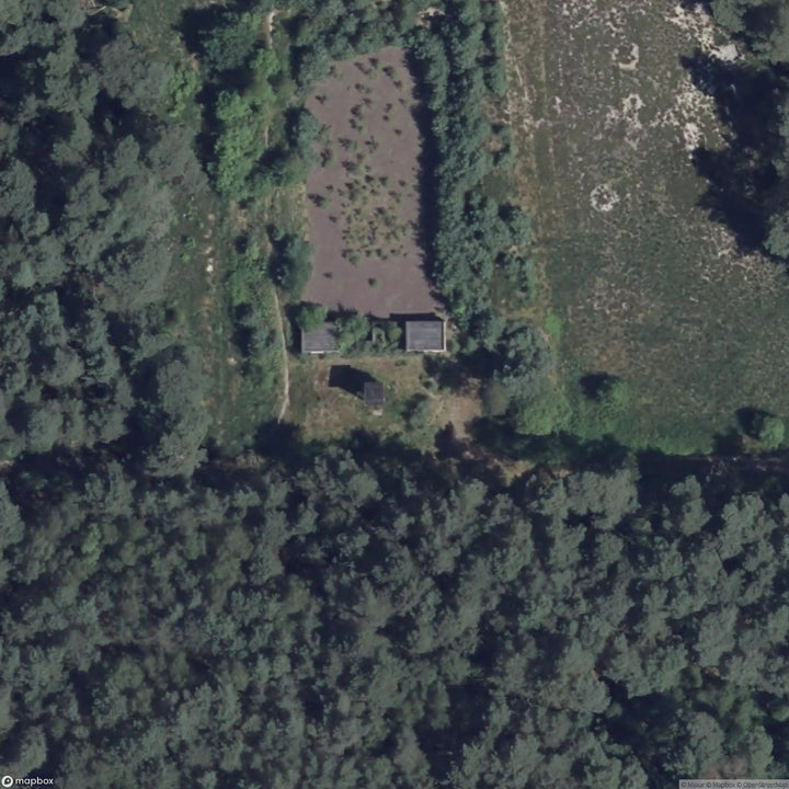 Racton Ruins [GER] #19026