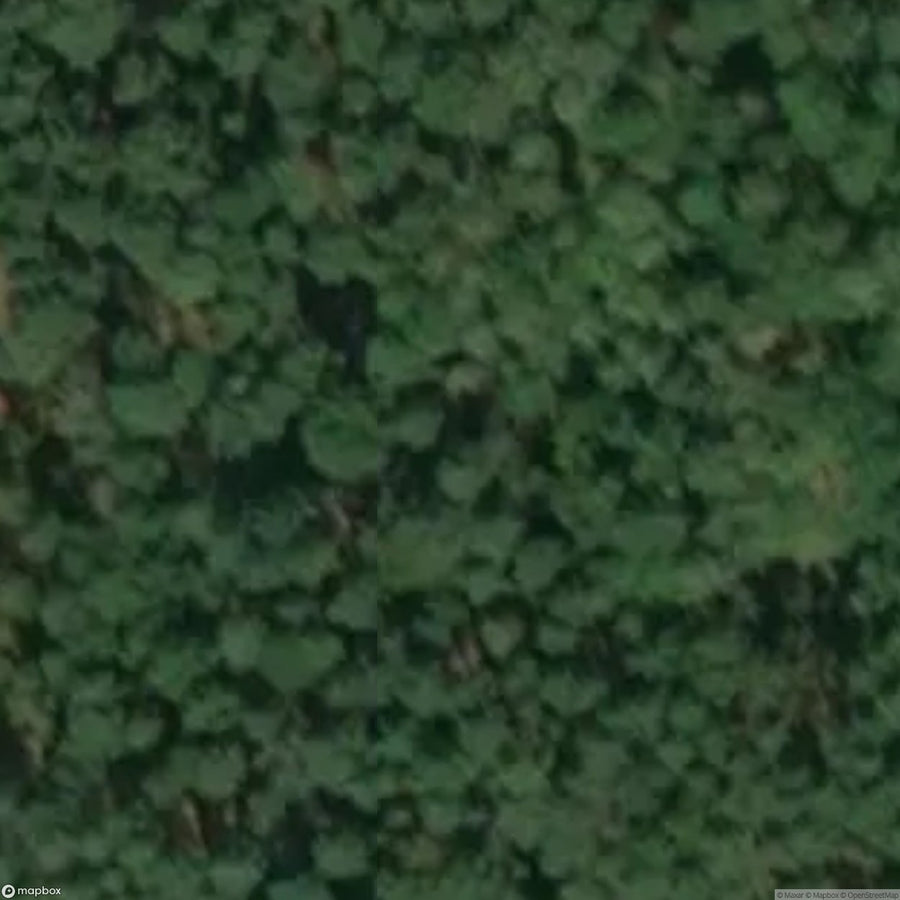 Nature Garden Harderwijk [POL] #16689