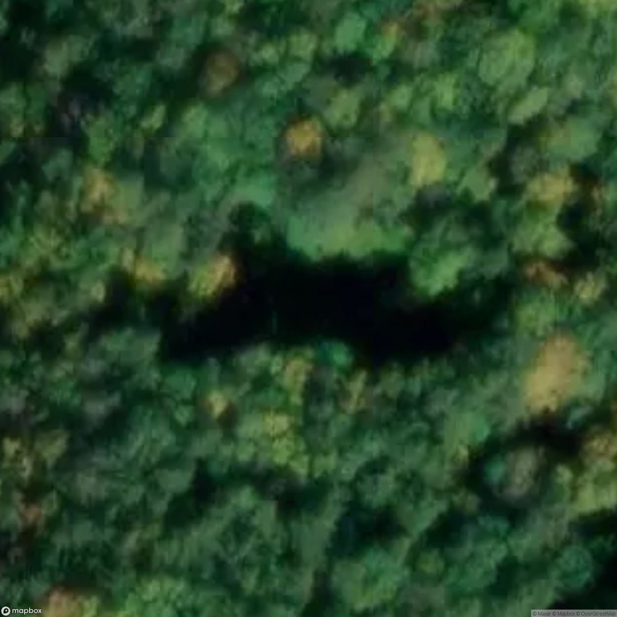 Walburg Monastery [DEU]