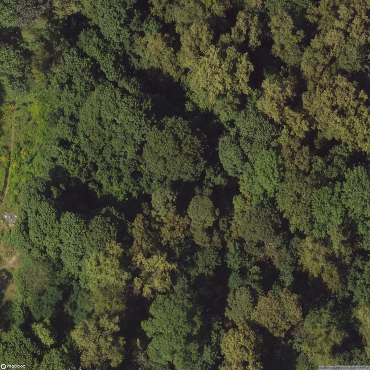 Historic Cemetery Abandoned Cemetery [POL] #2046