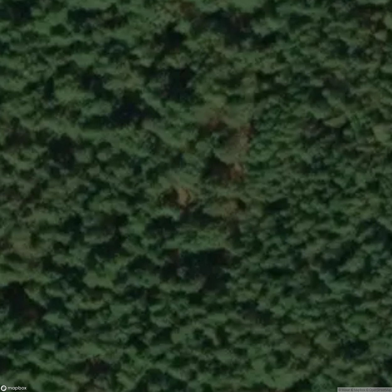 Site Abandoned Village [POL] #33429