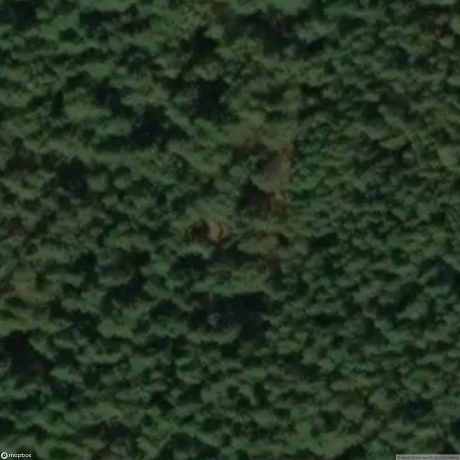 Site Abandoned Village [POL] #33429