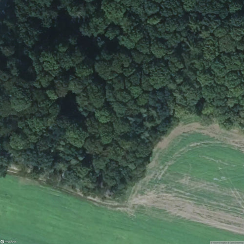 Crypt Bunker [DEU] #20511