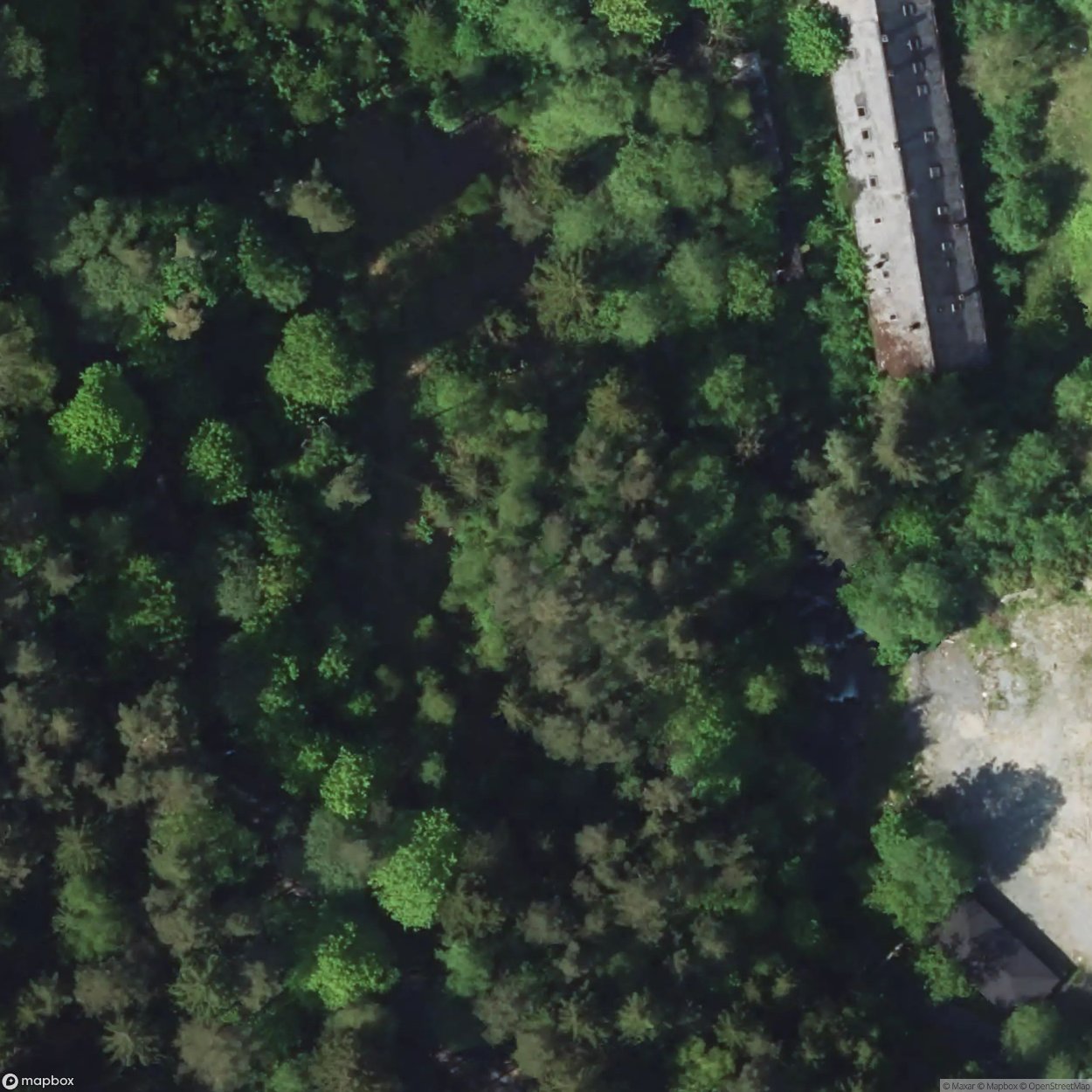 Abandoned Library Lubon [GER] #35068