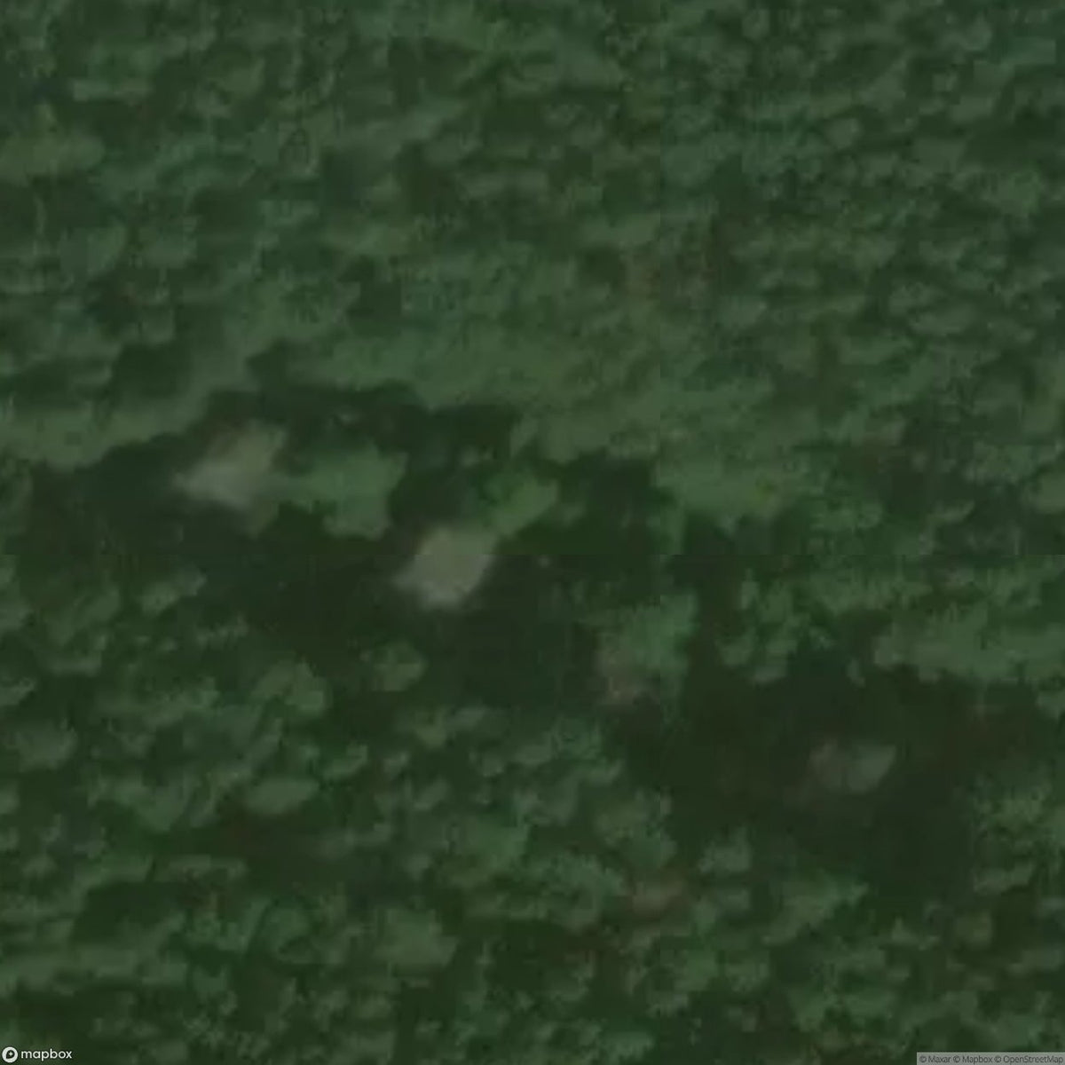 House In The Woods [DEU] #32993