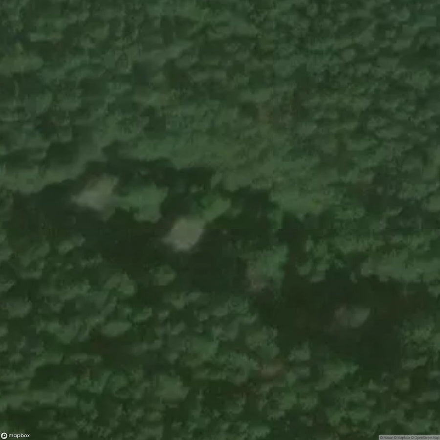 House In The Woods [DEU] #32993