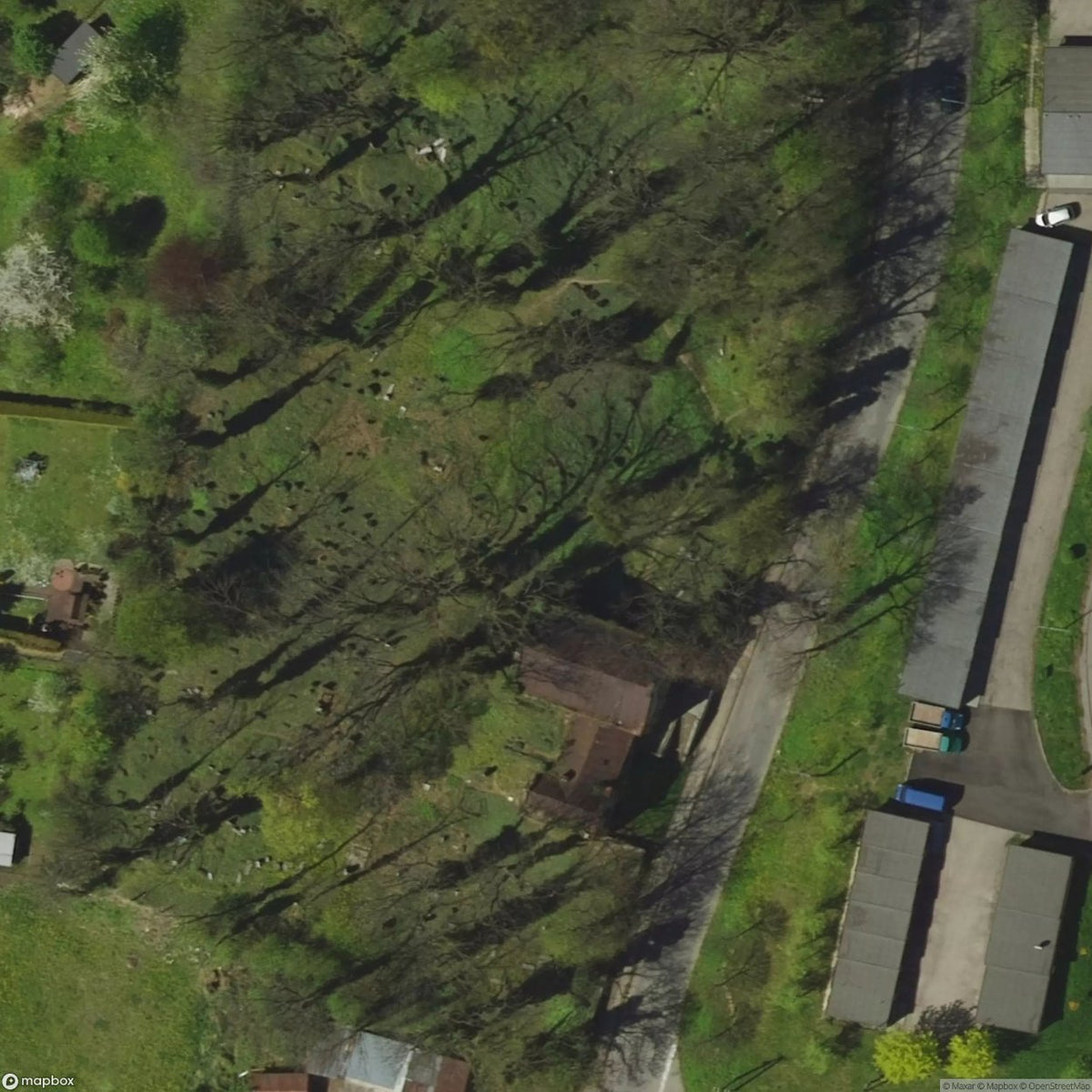 Historic Cemetery Cieszyn [POL] #2013