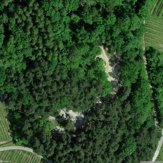 Former Military Gallery (Mont-Vully) [CHE]