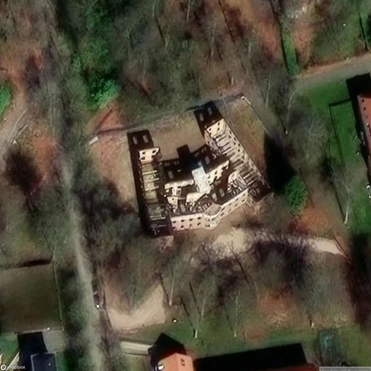 Psychiatry Salve Mater [BEL]