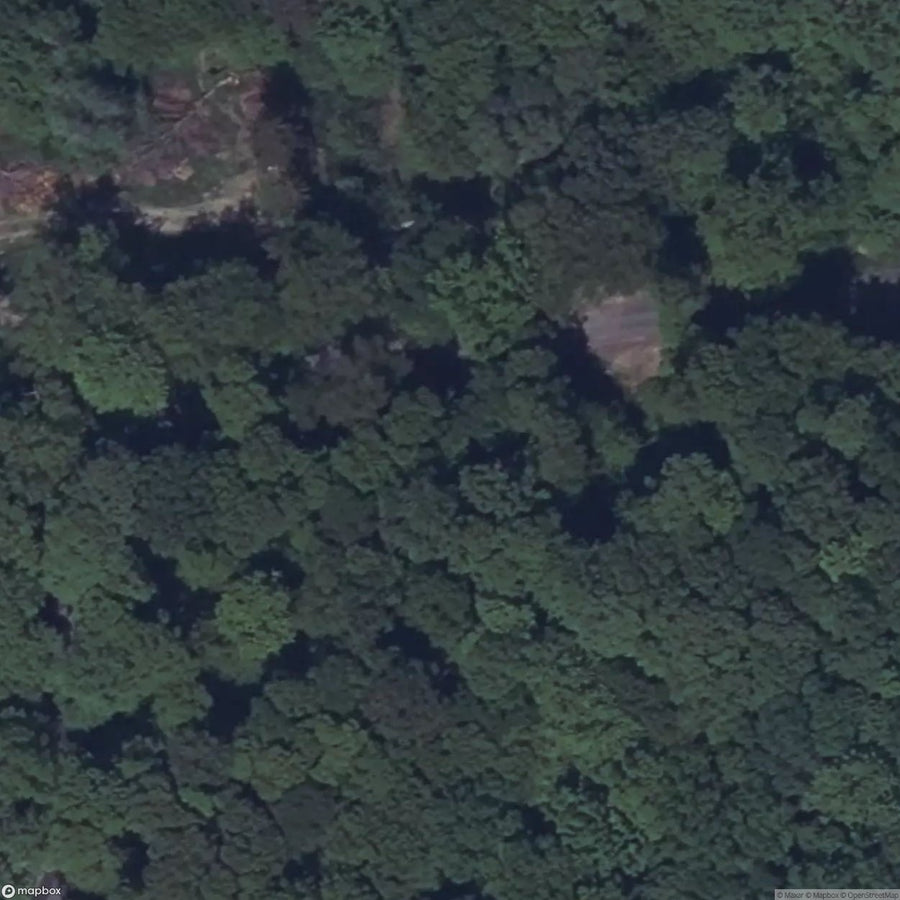 College Of The Forest [FRA] #35369