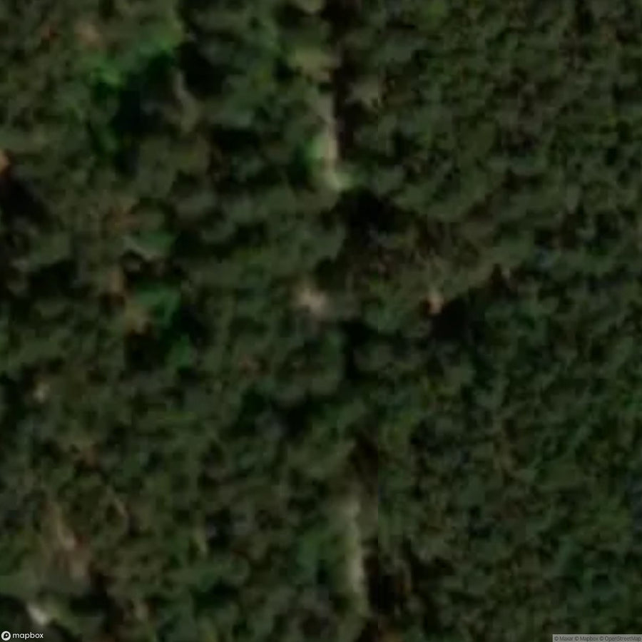 Askarzew Site [POL] #33284