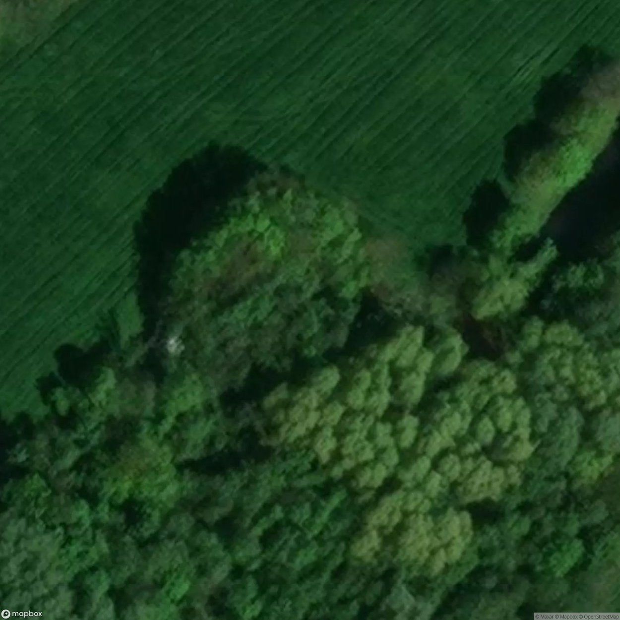 Bus Tower Kortenaken [BEL]