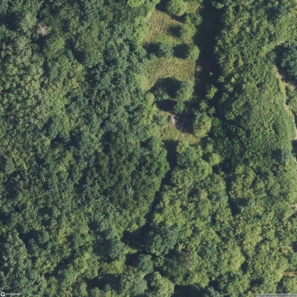 Abandoned Air Defense Site Nacmierz [POL] #32068